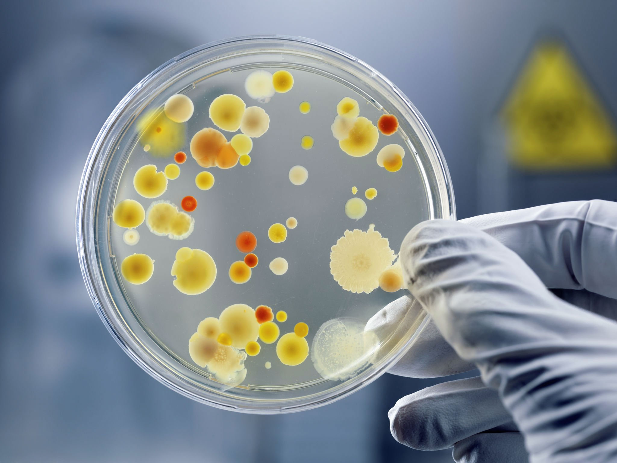 produkte-biozide-header