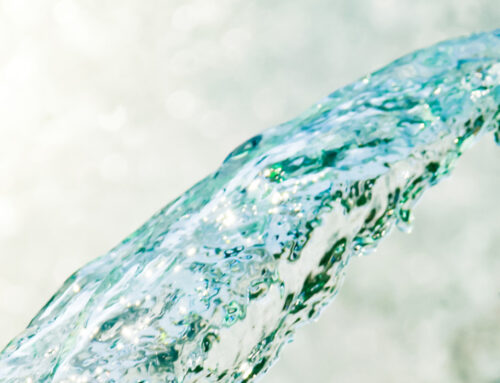 Weltwassertag – 22.03.2025