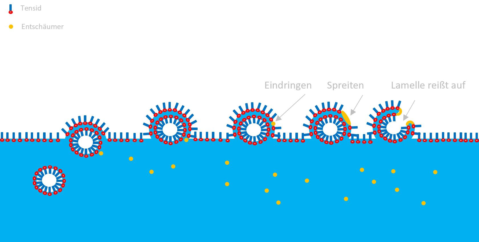 Schaumlamellendestabilisierung